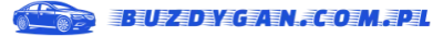 Logo buzdygan.com.pl
